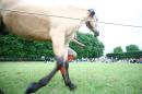 CAvAlle 14 * 4368 x 2912 * (5.92MB)